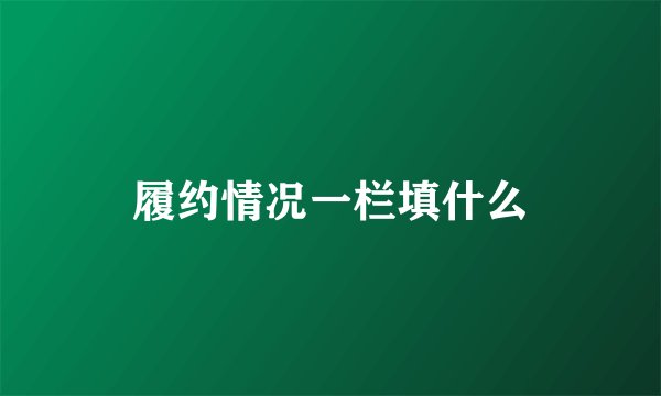 履约情况一栏填什么
