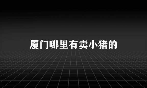 厦门哪里有卖小猪的