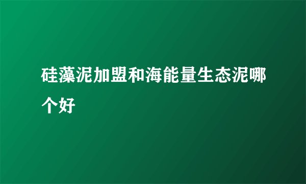 硅藻泥加盟和海能量生态泥哪个好