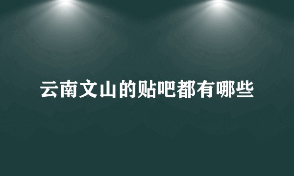 云南文山的贴吧都有哪些