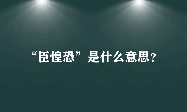 “臣惶恐”是什么意思？