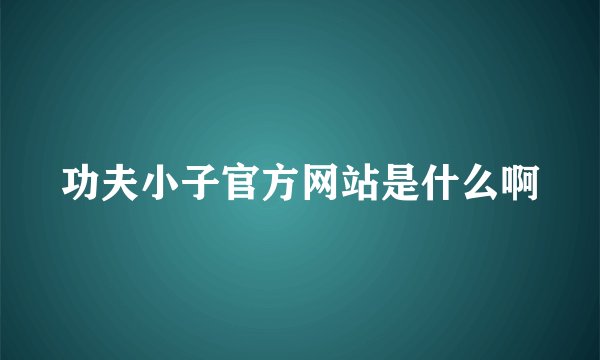 功夫小子官方网站是什么啊