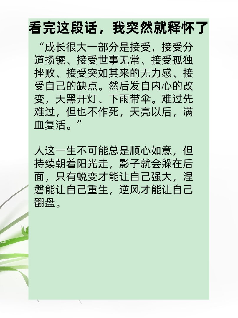 看完这段话,我突然就释怀了