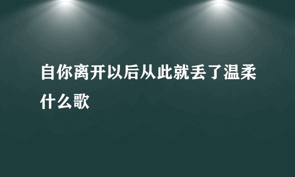 自你离开以后从此就丢了温柔什么歌