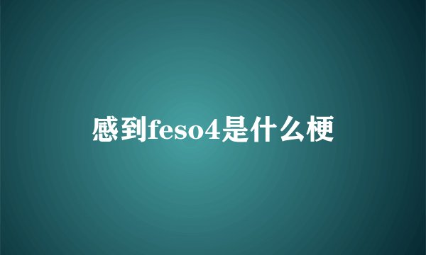 感到feso4是什么梗