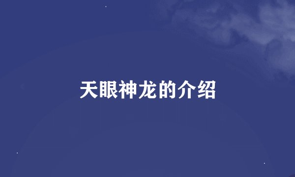 天眼神龙的介绍