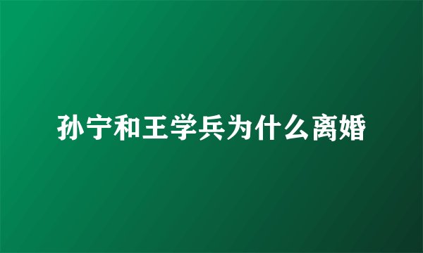 孙宁和王学兵为什么离婚