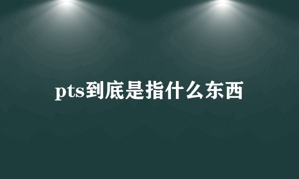 pts到底是指什么东西
