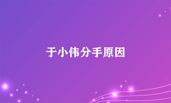 于小伟分手原因