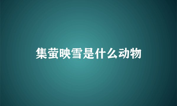 集萤映雪是什么动物