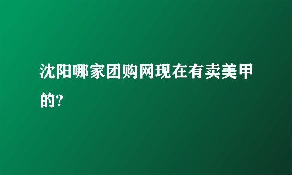 沈阳哪家团购网现在有卖美甲的?