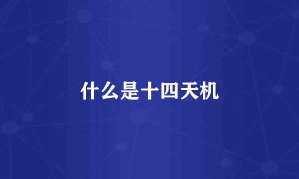 什么是十四天机