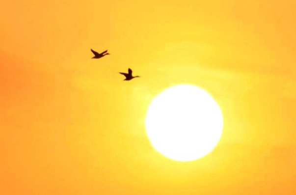 太阳日是吉日吗