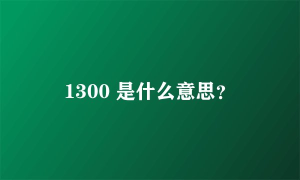 1300 是什么意思？