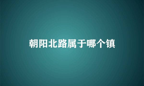 朝阳北路属于哪个镇
