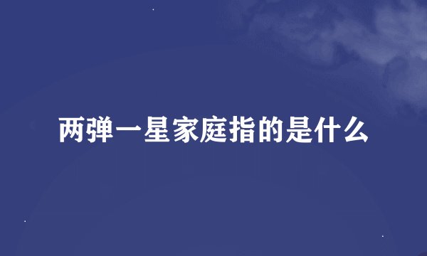 两弹一星家庭指的是什么