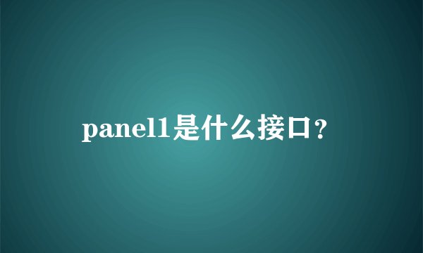 panel1是什么接口？
