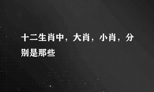 十二生肖中，大肖，小肖，分别是那些