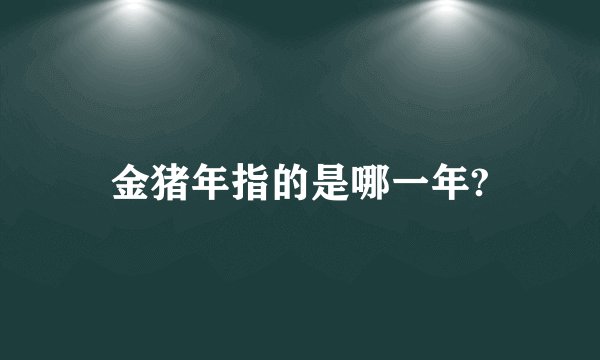 金猪年指的是哪一年?