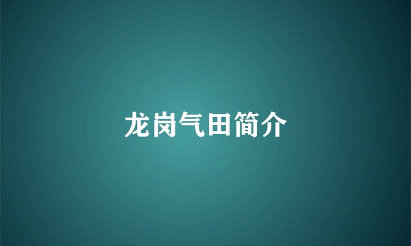 龙岗气田简介