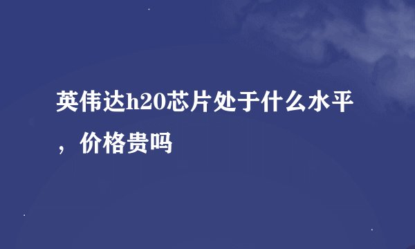 英伟达h20芯片处于什么水平，价格贵吗