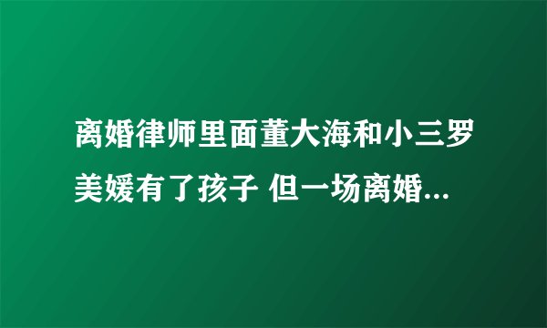 离婚律师里面董大海和小三罗美媛有了孩子 但一场离婚典礼后董大海又与老婆复合了 后来剧情怎么样了