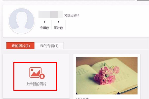 怎么把照片上传到网上呢?