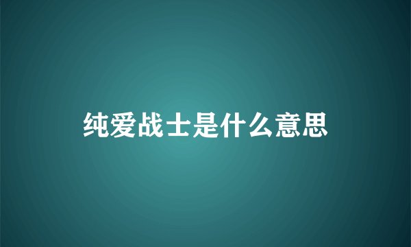 纯爱战士是什么意思