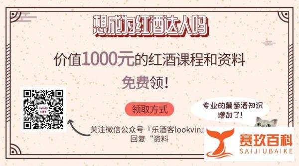 意大利人长杆干杯视频火遍全网 老外为了找个人喝酒到底有多拼？