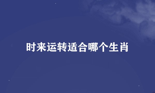 时来运转适合哪个生肖