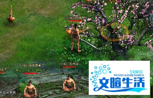 《秦美人》新手钻石礼包使用说明