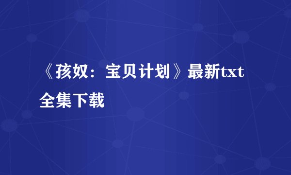 《孩奴：宝贝计划》最新txt全集下载
