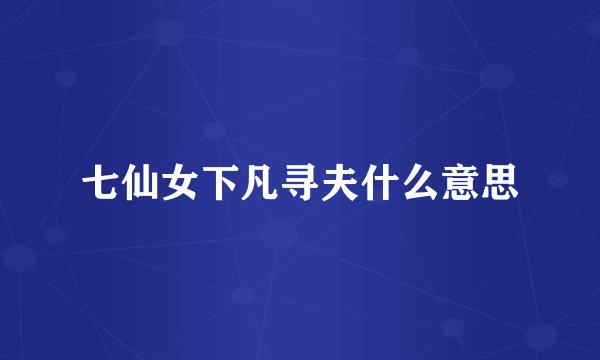 七仙女下凡寻夫什么意思