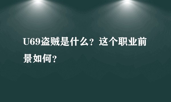 U69盗贼是什么？这个职业前景如何？