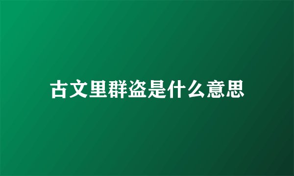 古文里群盗是什么意思