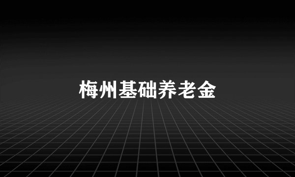 梅州基础养老金