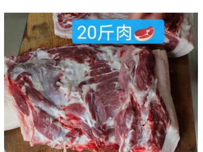20斤肉是多大一坨真实照片?