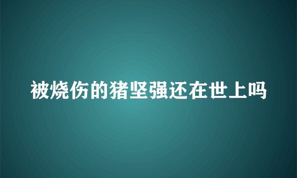 被烧伤的猪坚强还在世上吗