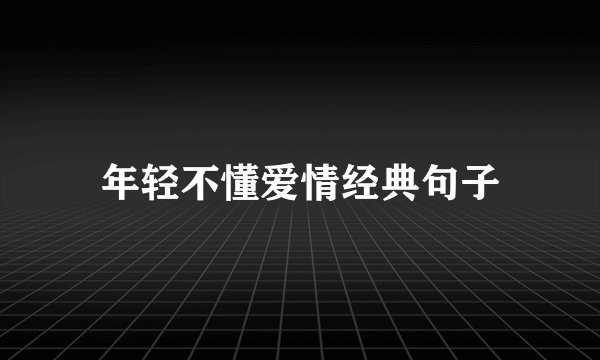 年轻不懂爱情经典句子