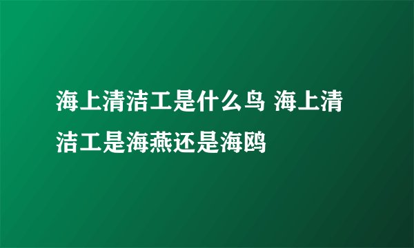 海上清洁工是什么鸟 海上清洁工是海燕还是海鸥