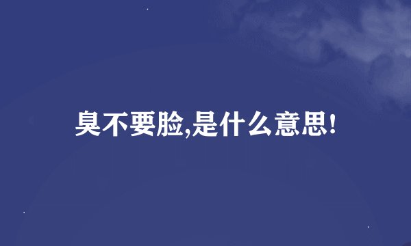 臭不要脸,是什么意思!