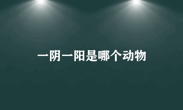 一阴一阳是哪个动物