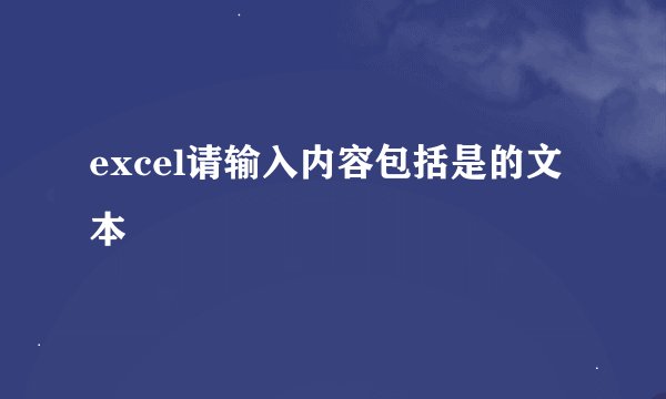 excel请输入内容包括是的文本