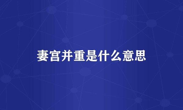 妻宫并重是什么意思