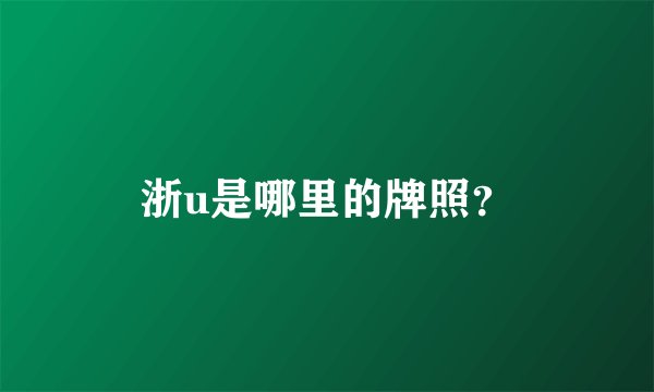浙u是哪里的牌照?