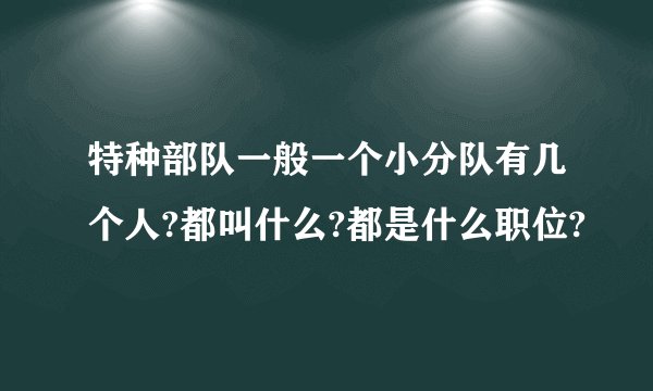 特种部队一般一个小分队有几个人?都叫什么?都是什么职位?