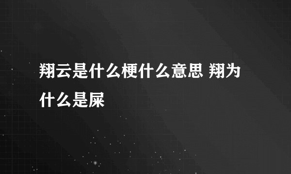 翔云是什么梗什么意思 翔为什么是屎