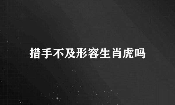 措手不及形容生肖虎吗