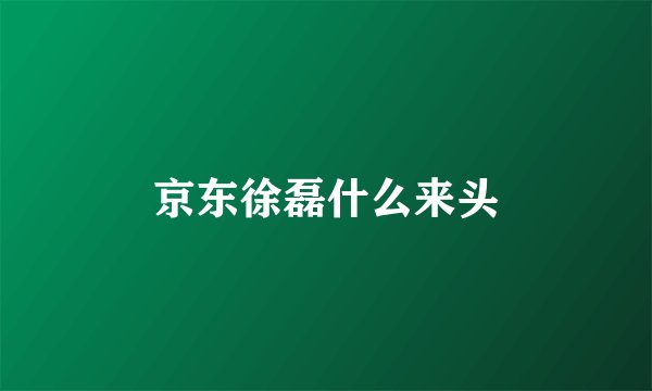 京东徐磊什么来头