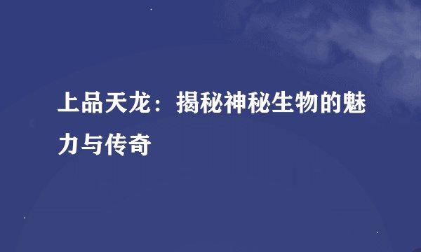 上品天龙:揭秘神秘生物的魅力与传奇